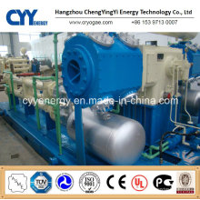 CNG17 Skid-Mounted Lcng CNG LNG Combination Station Filling